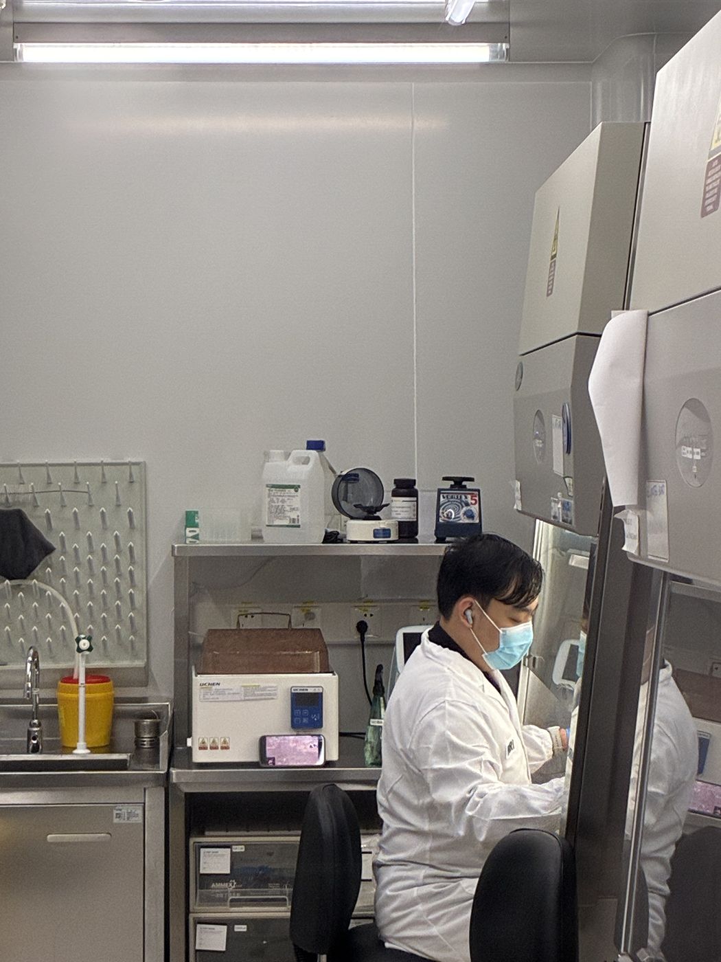 Lab member working at a biosafety cabinet in the culture room